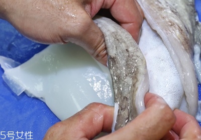 墨魚怎么處理才能清洗干凈 墨魚怎么處理才能清洗干凈