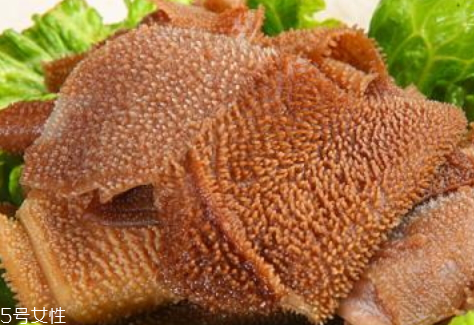 毛肚熱量高嗎 熱量較低 毛肚熱量高嗎 熱量較低