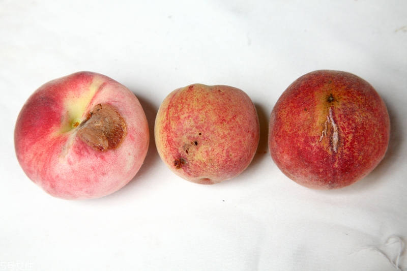 水蜜桃怎么保存時(shí)間長(zhǎng) 水蜜桃的保存方法