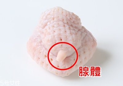 雞各部位怎么吃最好吃 雞各部位怎么吃最好吃