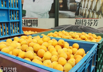 青梅怎么挑選與保存 青梅怎么挑選與保存