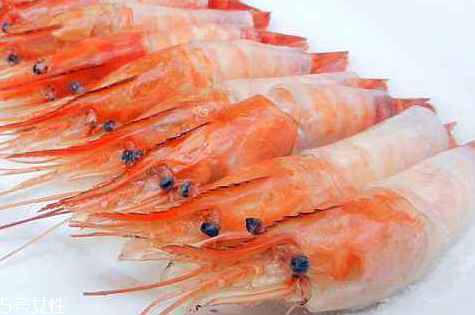 鳳尾蝦是河蝦還是海蝦 蝦味鮮嫩 鳳尾蝦是河蝦還是海蝦 蝦味鮮嫩