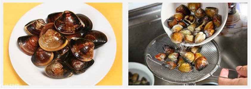 蛤蜊如何快速吐沙 蛤蜊吐沙的方法 蛤蜊如何快速吐沙 蛤蜊吐沙的方法