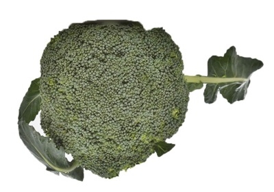 花椰菜怎么挑選 花椰菜的處理技巧 花椰菜怎么挑選 花椰菜的處理技巧