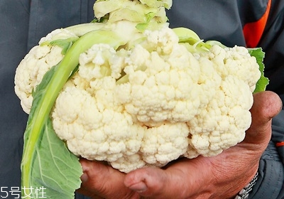 花椰菜怎么挑選 花椰菜的處理技巧 花椰菜怎么挑選 花椰菜的處理技巧