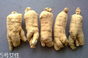 西洋參是堿性還是酸性 屬于堿性食物 西洋參是堿性還是酸性 屬于堿性食物