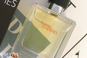 愛馬仕大地香水好聞嗎？香味濃烈卻清新