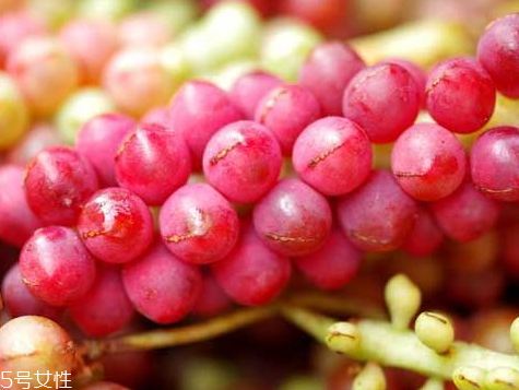 五味子不能和什么一起吃 相克食物 五味子不能和什么一起吃 相克食物