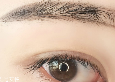 適合學(xué)生黨的自然眉筆推薦 新手修眉畫(huà)眉教程