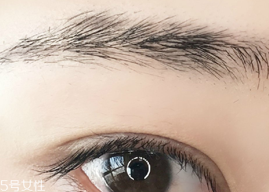 適合學(xué)生黨的自然眉筆推薦 新手修眉畫(huà)眉教程