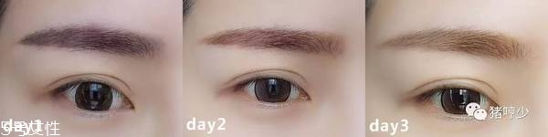 美寶蓮半永久染眉膠好用嗎 染眉膠使用教程 美寶蓮半永久染眉膠好用嗎 染眉膠使用教程