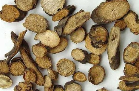 白術(shù)可以泡酒嗎 泡酒方法 白術(shù)可以泡酒嗎 泡酒方法