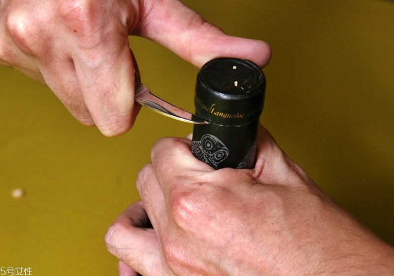 葡萄酒怎么用開瓶器開 4種開瓶器的使用方法 葡萄酒怎么用開瓶器開 4種開瓶器的使用方法