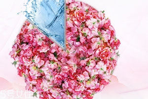 florihana中文叫什么？哪國的品牌