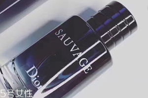 迪奧曠野和桀驁哪個(gè)好？曠野香水適合暖男