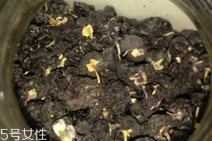 黑枸杞還還是紅枸杞好？各有千秋