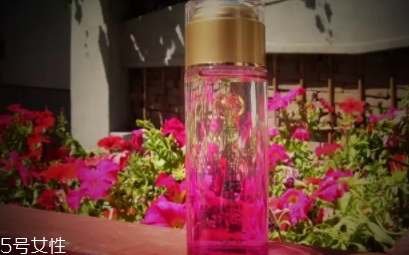 苦水玫瑰多少錢一斤？