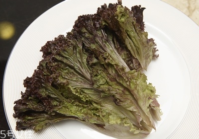 做沙拉用什么蔬菜 有什么蔬菜可以做沙拉 做沙拉用什么蔬菜 有什么蔬菜可以做沙拉