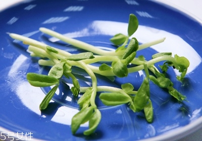 做沙拉用什么蔬菜 有什么蔬菜可以做沙拉 做沙拉用什么蔬菜 有什么蔬菜可以做沙拉