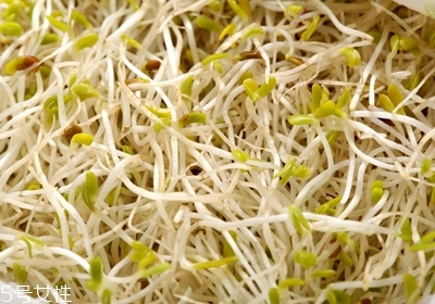 做沙拉用什么蔬菜 有什么蔬菜可以做沙拉 做沙拉用什么蔬菜 有什么蔬菜可以做沙拉