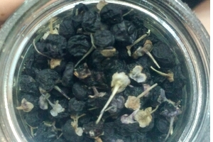 黑枸杞能和菊花一起泡嗎？這個(gè)搭配沒(méi)毛病