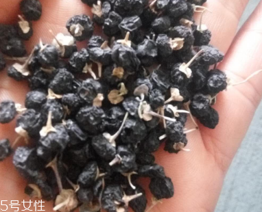黑枸杞去濕氣嗎？沒有這個(gè)功效