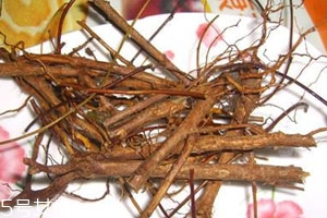 <s>地骨皮多少錢(qián)一斤 食用方法</s>