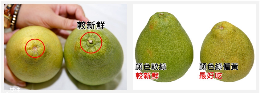 文旦柚怎么挑選 文旦柚選購技巧 文旦柚怎么挑選 文旦柚選購技巧