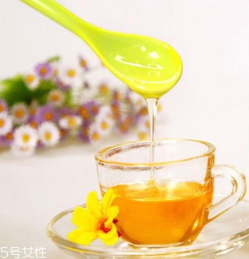 麥盧卡蜂蜜哪個牌子好？