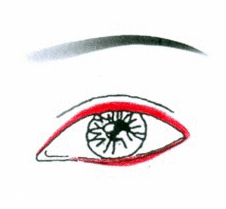 先畫眼影還是先畫眼線？先畫眼影不會讓眼線暈掉