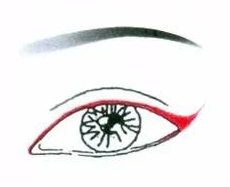 先畫眼影還是先畫眼線？先畫眼影不會讓眼線暈掉