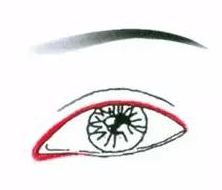 先畫眼影還是先畫眼線？先畫眼影不會讓眼線暈掉