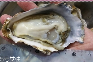 生蠔會有寄生蟲嗎？不生吃就沒關(guān)系