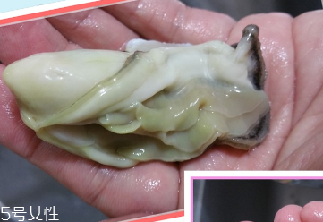 生蠔會有寄生蟲嗎？不生吃就沒關(guān)系