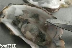 生蠔會(huì)上火嗎？烤生蠔易上火