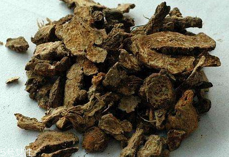 蒼術(shù)可以泡水嗎 燥濕健脾x效果好 蒼術(shù)可以泡水嗎 燥濕健脾x效果好