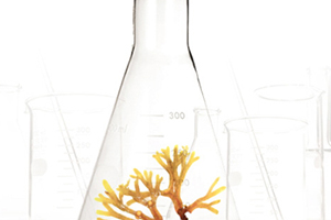 精華液可以代替乳液嗎？兩者各有分工