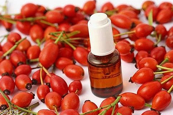 痘痘能用玫瑰果油嗎？愈合之后少量用