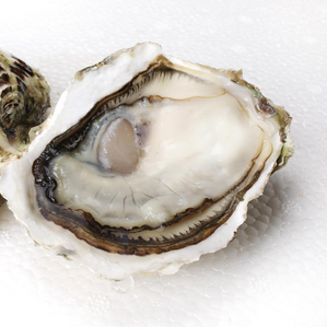 生蠔會(huì)死嗎？生蠔是容易死的