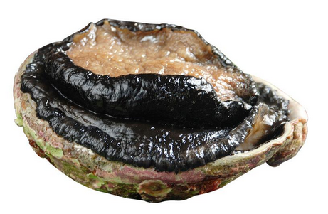 鮑魚罐頭怎么吃？這樣吃最好