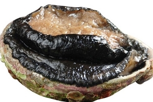 鮑魚罐頭怎么打開？像八寶粥一樣拉開