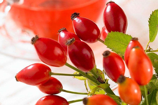 玫瑰果油有結(jié)晶是假貨嗎？純正玫瑰果油不會(huì)結(jié)晶