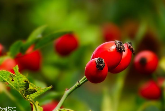 玫瑰果油有結(jié)晶是假貨嗎？純正玫瑰果油不會(huì)結(jié)晶