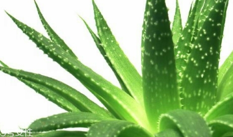 馥佩面膜怎么樣？性價(jià)比超高的國貨面膜