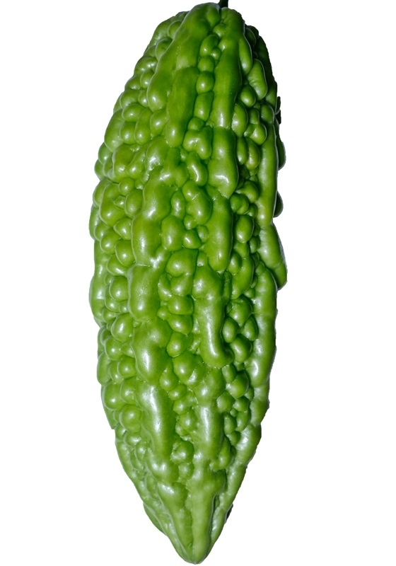 苦瓜品種大全圖片資料 苦瓜品種大全圖片資料