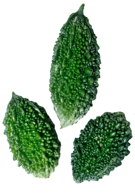 苦瓜品種大全圖片資料 苦瓜品種大全圖片資料