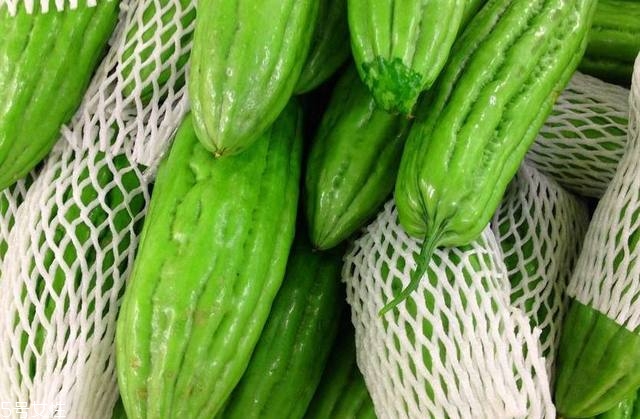 苦瓜品種大全圖片資料 苦瓜品種大全圖片資料