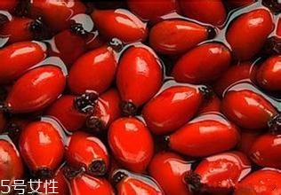 痘痘能用玫瑰果油嗎？愈合之后少量用