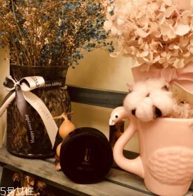 unes優(yōu)理氏好用嗎？