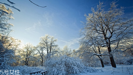 cmon遮陽(yáng)傘怎么樣 日本的遮陽(yáng)傘品牌 cmon遮陽(yáng)傘怎么樣 日本的遮陽(yáng)傘品牌